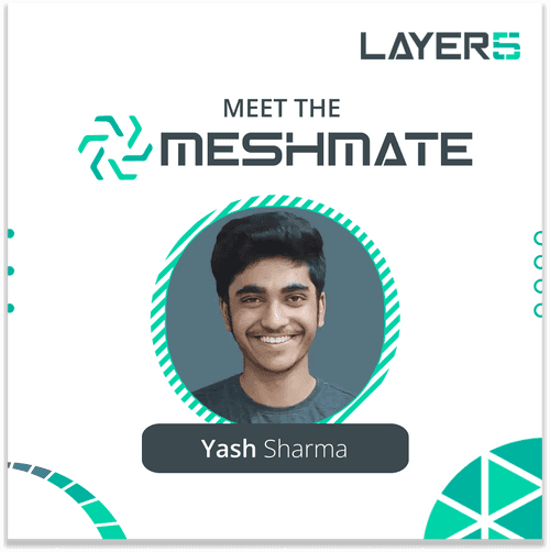 Meet the MeshMate: Yash Sharma