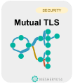 Kanvas Mutual TLS security feature for Kubernetes workloads